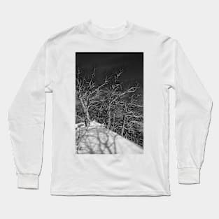 Birches. Kamchatka. Long Sleeve T-Shirt